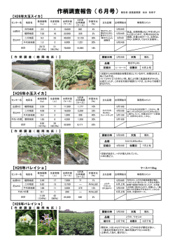 作柄調査報告（6月号）報告者：営農振興課 松本 有希子