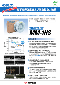MM-1HS_レイアウト 1
