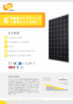 Japan mono 6 in 60 W