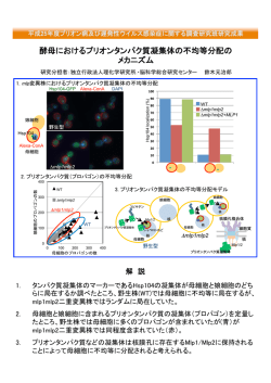 鈴木元治郎 - プリオン病及び遅発性ウイルス感染症に関する調査研究