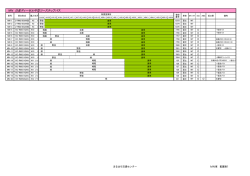 MN 日産ディーゼル中型ツーステップバス
