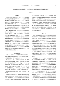 進行型擬似病斑形成変異イネを利用した過敏感細胞死誘導機構の解析