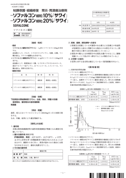 PDFファイル