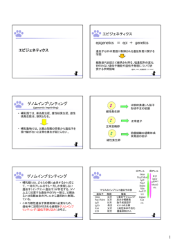 1 エピジェネティクス エピジェネティクス ゲノムインプリンティング ゲノム