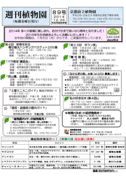 週刊植物園No.89（PDF：824KB）