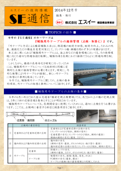 補強用外ケーブルの維持管理（点検・取替え） [PDF：1.08 MB]