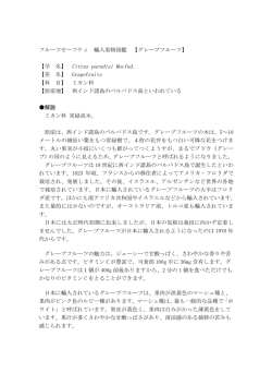 フルーツセーフティ 輸入果物図鑑 【グレープフルーツ】 【学 名】 Citrus