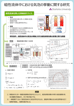 磁性流体を用いた混相流のパラメータ計測と挙動シミュレーション