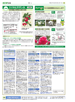 6面（PDF：1568KB）