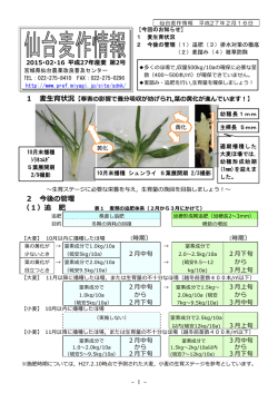 平成27年産麦作情報第2号 [PDFファイル／292KB]