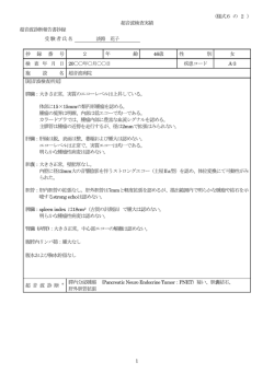 記入例2 - 日本超音波医学会