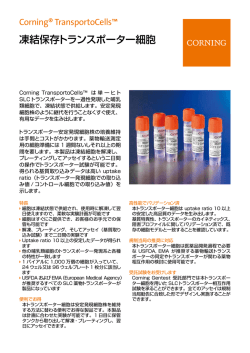 製品パンフレット