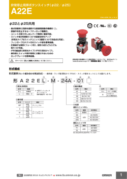 形 A 2 2 E L - M - 24 A - 01