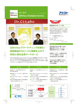 QlikViewでマーケティングを強化！ 仮説検証のスピードと精度