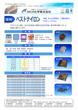 BN - MICS化学