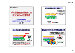 PDF（2.6MB）