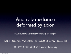 (University of Tokyo) 2014/2/14 BURI2014 @ Toyama University KN