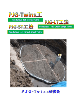 PJG-Twins研究会