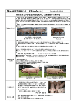 豚凍結精液 [PDFファイル／350KB]