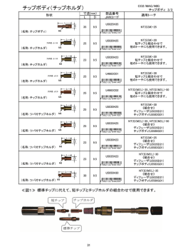 (P31)チップボデ..