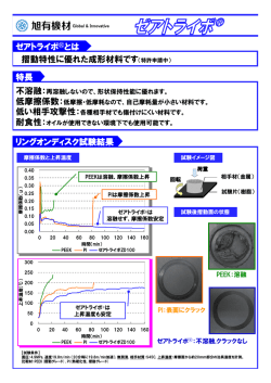 詳細情報（342.9 KB）