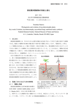 菌従属栄養植物の系統と進化