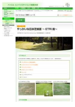 印刷用 PDFファイル