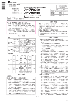 PDFファイル