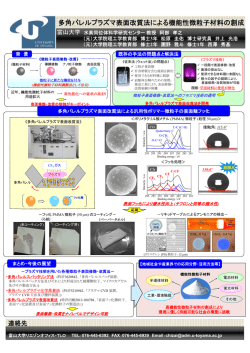 PDF - 富山大学