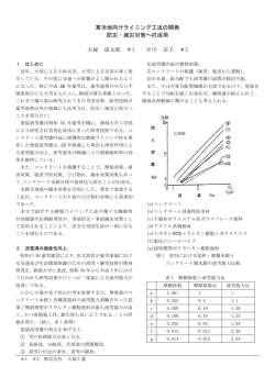 寒冷地向けライニング工法の開発