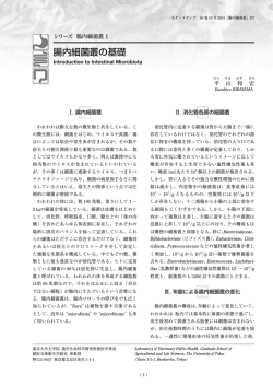 腸内細菌叢の基礎