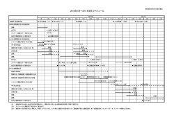 2010年1月～2011年6月スケジュール
