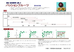 「パッションフルーツ」の栽培技術（PDF：966KB）