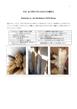 矢追 金三郎氏の宅にある巨大な鍾乳石 Stalactite in the KinSaburo