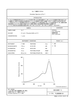 Cy-7の蛍光分析 (PDF形式、117kバイト)