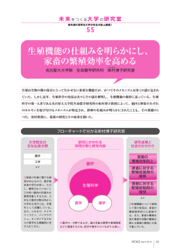PDFダウンロード