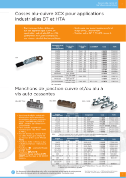Manchons de jonction cuivre et/ou alu à vis auto cassantes