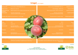 IN-Catalogue fiche Iziagat FR GB.xlsx