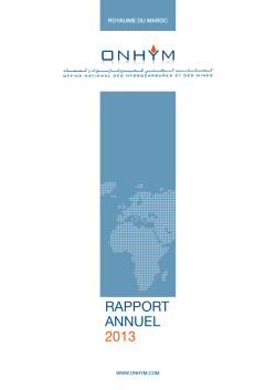 RAPPORT ANNUEL 2013