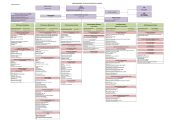 JGH-Organigramme projet d&eacute;finitif - V31 du 24 10