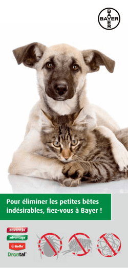 Brochure parasites - Advantix - Advantage- Bolfo