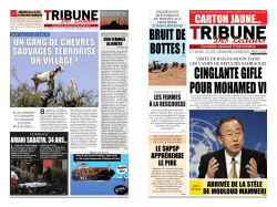 carton jaune&hellip; - tribunelecteurs
