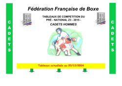 PN3 Cadets Hommes 2015 - comité aquitaine boxe
