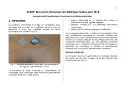Lien vers le texte du projet - M&eacute;canique Mat&eacute;riaux Structure
