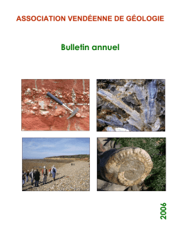 AVG.Bulletin 2006 - Association Vend&eacute;enne de G&eacute;ologie