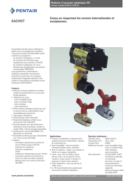 Gachot Ball Valves, Model V9