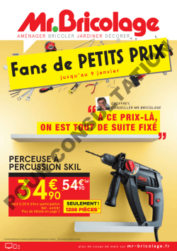 90 - Mr.Bricolage Lillebonne