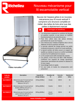 Nouveau m&eacute;canisme pour lit escamotable vertical