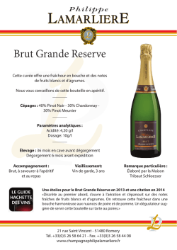 Brut Grande Reserve PL - Champagne Philippe Lamarliere