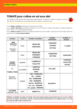 Tomate pour culture en sol sous abri